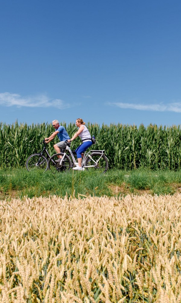 Johannesbad Hotel Phönix Erlebnis Wandern und Biken