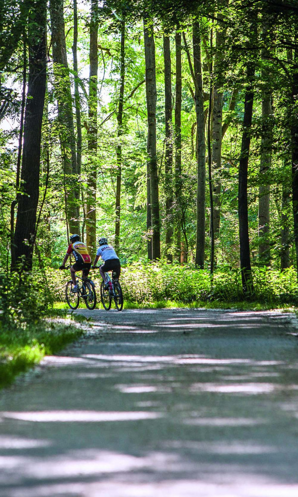 Johannesbad Hotels Bad Füssing Aktivurlaub