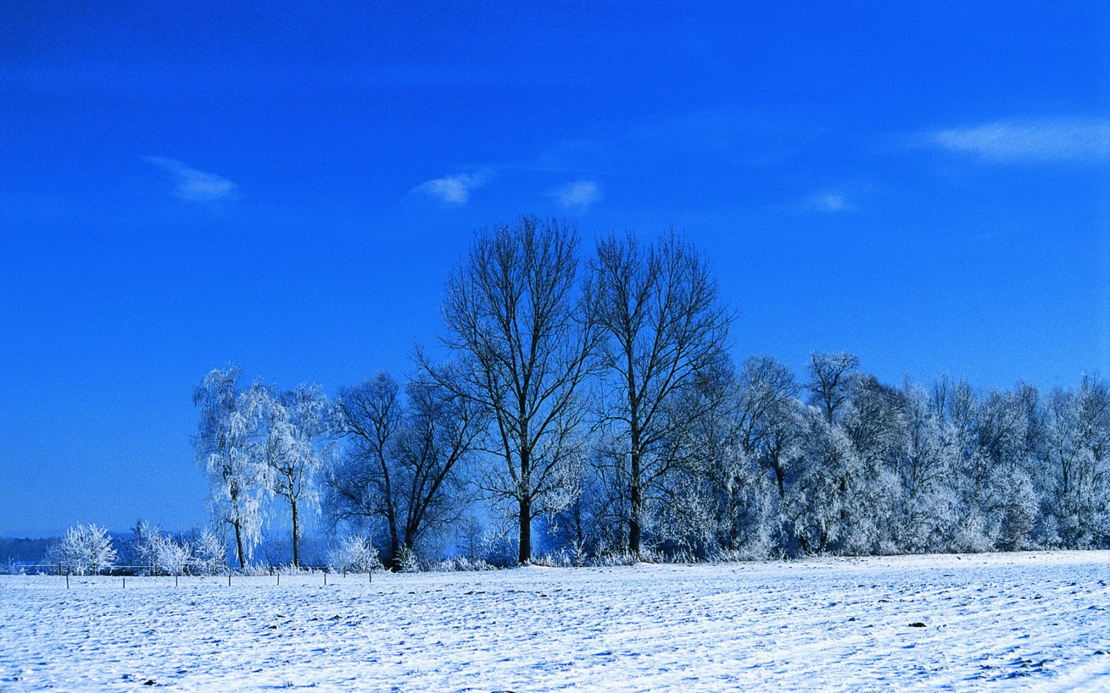 Winterurlaub in den Johannesbad Hotels Winterlandschaft Bad Füssing